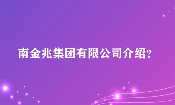 南金兆集团有限公司介绍？