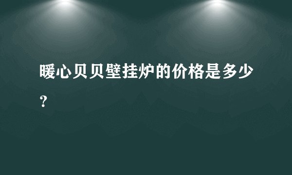 暖心贝贝壁挂炉的价格是多少？