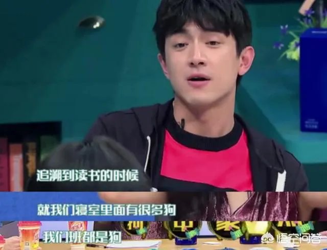林更新现在为什么那么火?