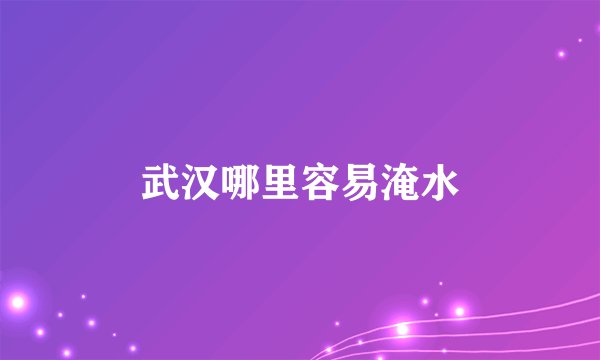 武汉哪里容易淹水