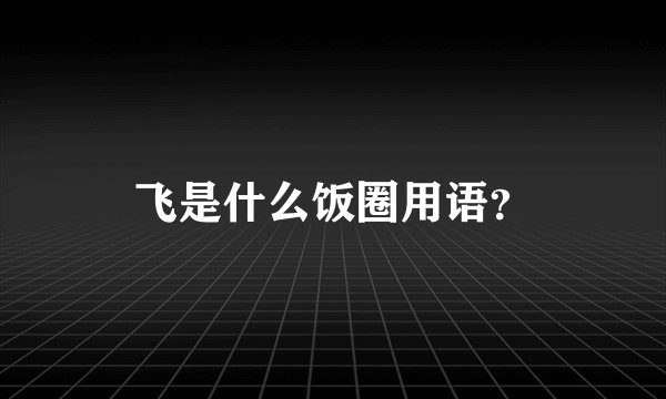 飞是什么饭圈用语？