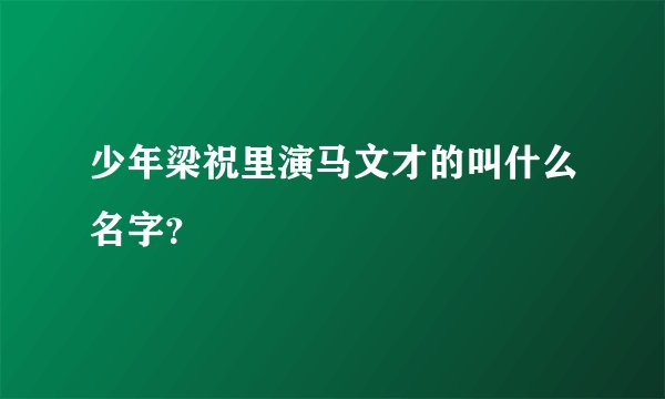 少年梁祝里演马文才的叫什么名字？