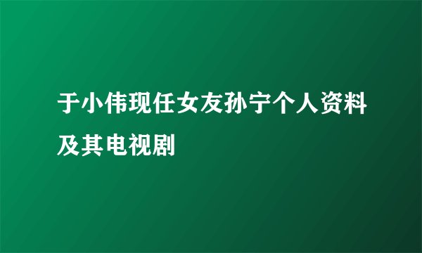 于小伟现任女友孙宁个人资料及其电视剧