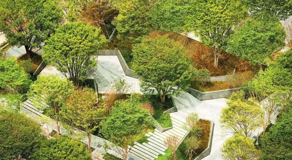 干货 | 庭院植物打造,营造十足空间感
