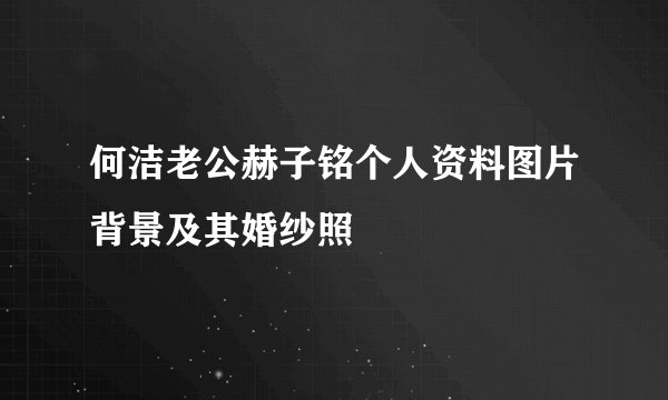 何洁老公赫子铭个人资料图片背景及其婚纱照