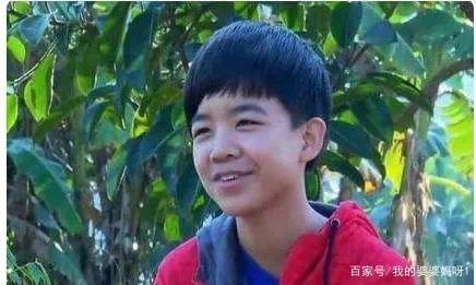 易虎臣：《变形计》最成功富二代，长大后为什么害父母破产亲妹辍学？