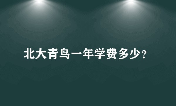 北大青鸟一年学费多少？