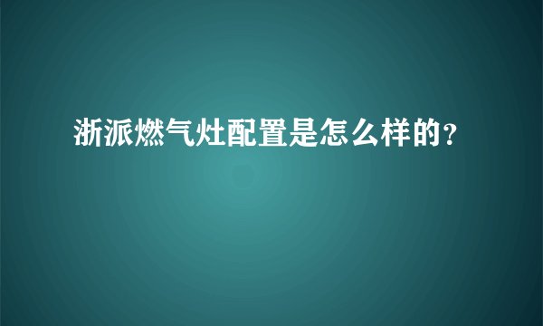 浙派燃气灶配置是怎么样的？