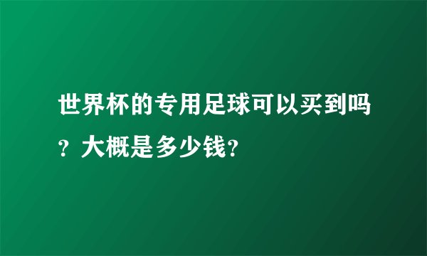 世界杯的专用足球可以买到吗？大概是多少钱？