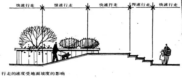 干货 | 庭院植物打造,营造十足空间感