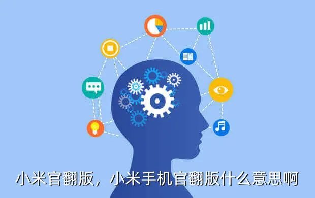 小米官翻版,小米手机官翻版什么意思啊?