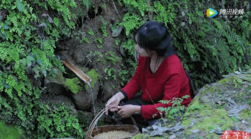 坐拥几千万粉丝的李子柒,被质疑的真实,到底长什么样?