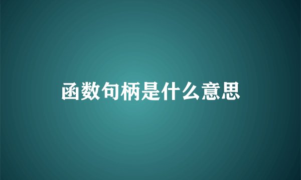 函数句柄是什么意思