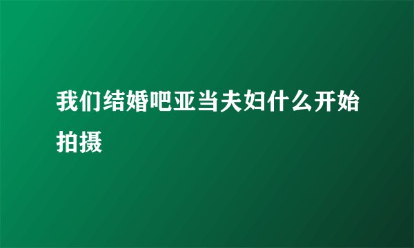 我们结婚吧亚当夫妇什么开始拍摄