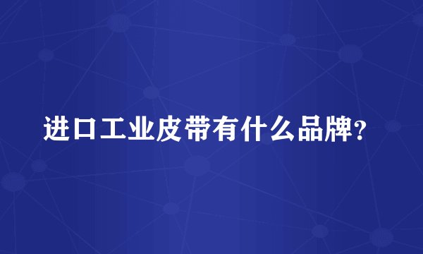进口工业皮带有什么品牌？