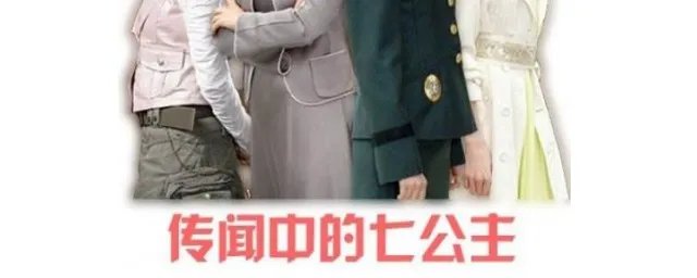 家有7公主剧情 传闻中的七公主剧情介绍