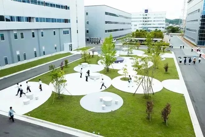 干货 | 庭院植物打造,营造十足空间感