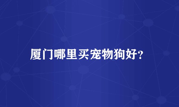 厦门哪里买宠物狗好?