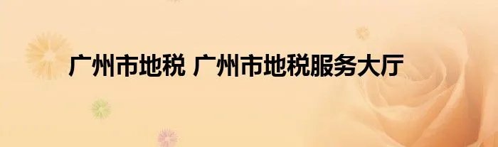 广州市地税 广州市地税服务大厅