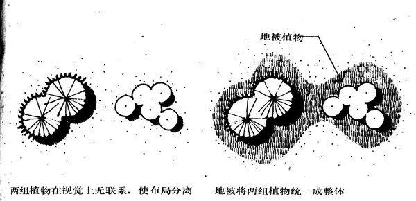 干货 | 庭院植物打造,营造十足空间感