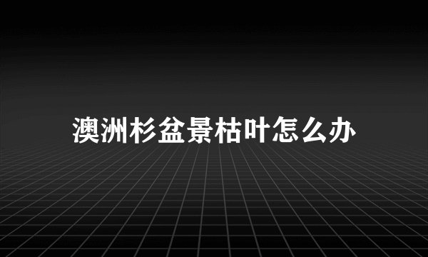 澳洲杉盆景枯叶怎么办