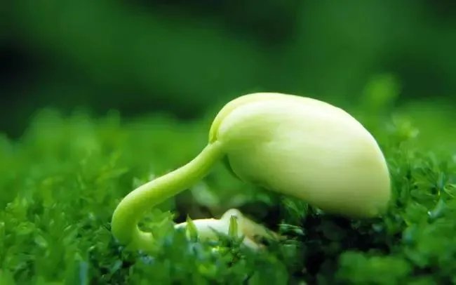 齐家网苏州站12周年——光阴荏苒,我们不离不弃!!
