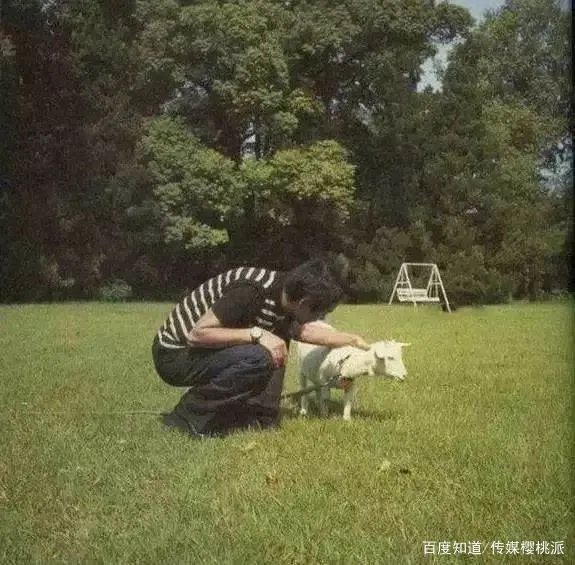 张国荣和唐鹤德之间有哪些很暖很贴心的事情