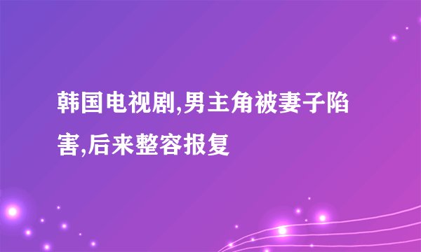 韩国电视剧,男主角被妻子陷害,后来整容报复