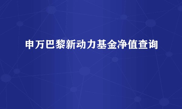 申万巴黎新动力基金净值查询
