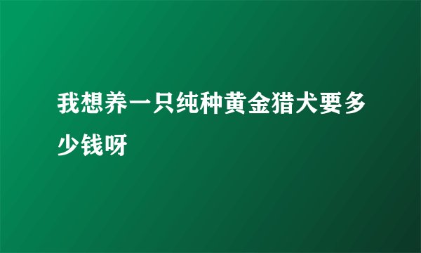 我想养一只纯种黄金猎犬要多少钱呀