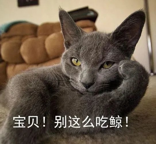 双11狂欢升级!2019猫晚顾家又C位全场了!