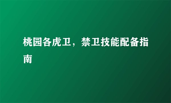 桃园各虎卫，禁卫技能配备指南