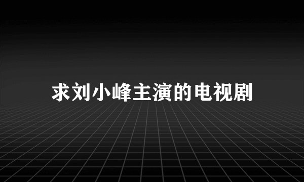 求刘小峰主演的电视剧