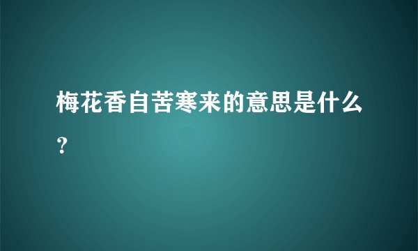 梅花香自苦寒来的意思是什么？