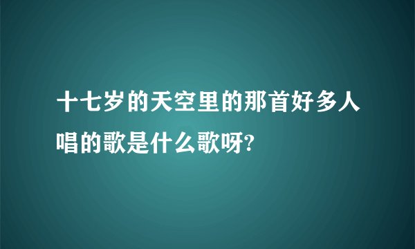 十七岁的天空里的那首好多人唱的歌是什么歌呀?