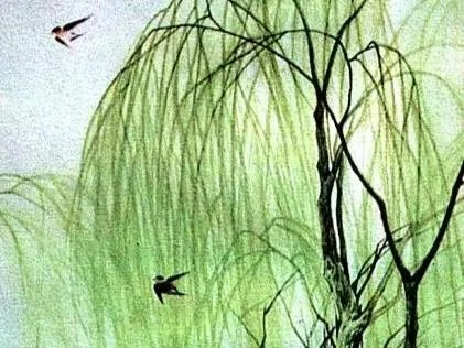 “不知细叶谁裁出,二月春风似剪刀”描写的什么美景?