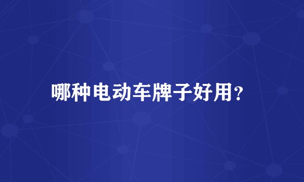 哪种电动车牌子好用？