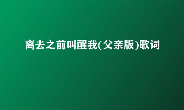 离去之前叫醒我(父亲版)歌词
