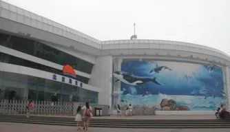 北京海洋馆和天津海昌极地海洋馆,这两个地方有什么区别?