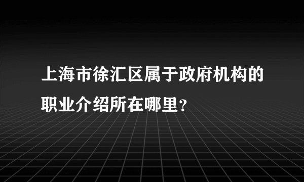 上海市徐汇区属于政府机构的职业介绍所在哪里？