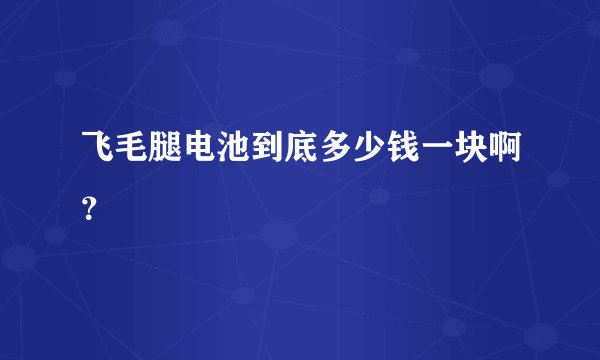 飞毛腿电池到底多少钱一块啊？