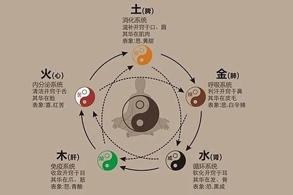 为什么有人说中医是伪科学?