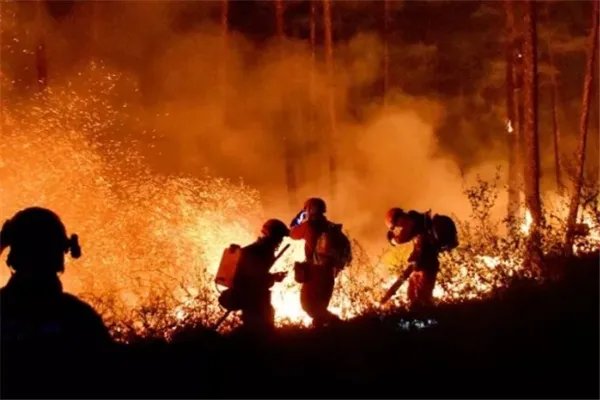 四川凉山19死森林火灾调查结果公布,怎么处理的?