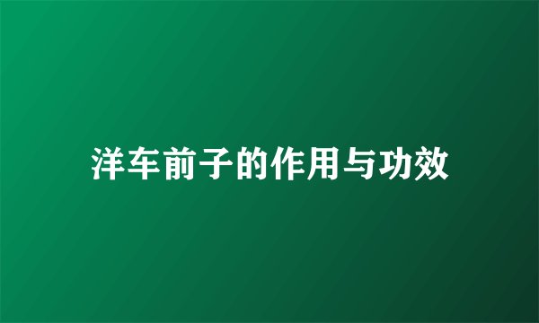 洋车前子的作用与功效