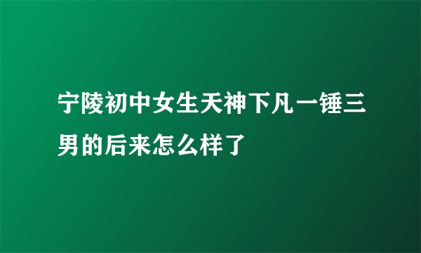 宁陵初中女生天神下凡一锤三男的后来怎么样了