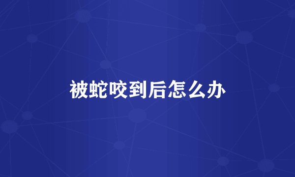 被蛇咬到后怎么办