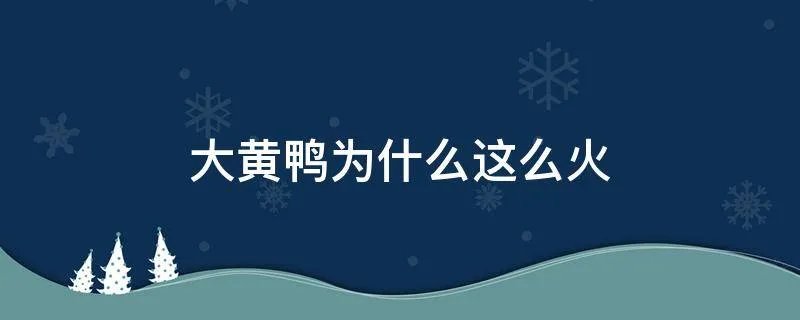 大黄鸭为什么这么火