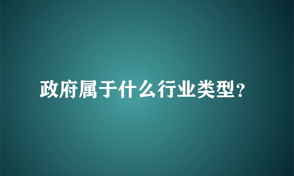 政府属于什么行业类型?