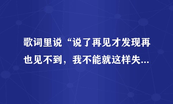 歌词里说“说了再见才发现再也见不到，我不能就这样失去你的微笑…”是哪首歌？求歌名