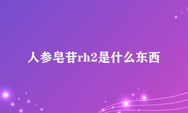 人参皂苷rh2是什么东西